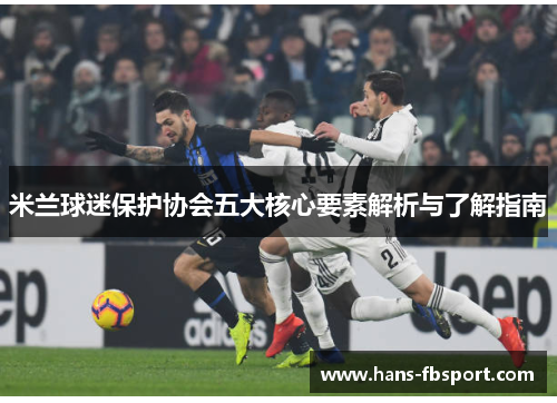 米兰球迷保护协会五大核心要素解析与了解指南 米兰球迷保护协会五大核心要素解析与了解指南